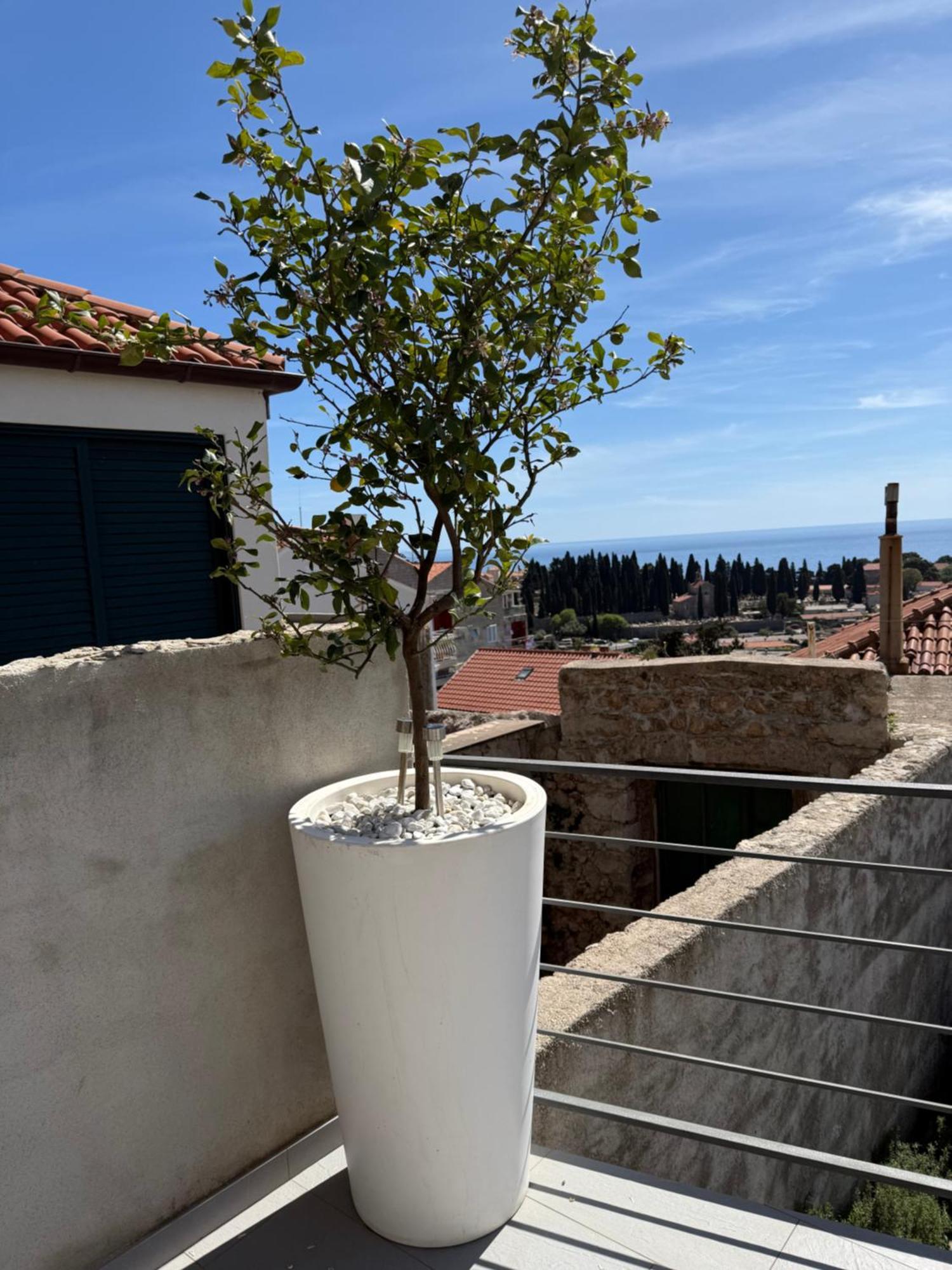 Lemon Tree Dubrovnik Apartments Exteriér fotografie